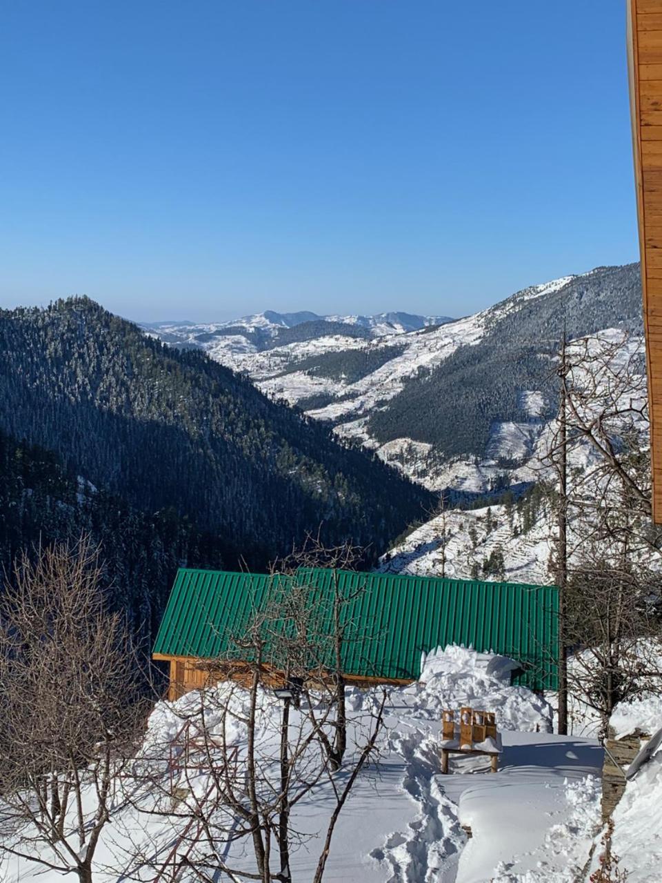 Elivaas 1 Bhk Premium Cottage With Sauna - Everly Shimla Ngoại thất bức ảnh